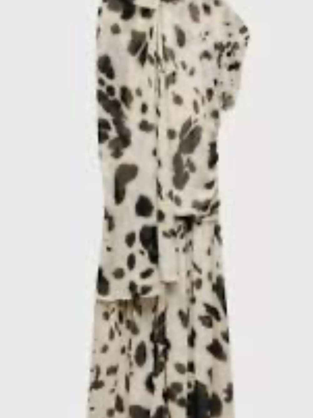 Zara Brown and White Spot Print Sheer Maxi Dress - Picture 4 of 4